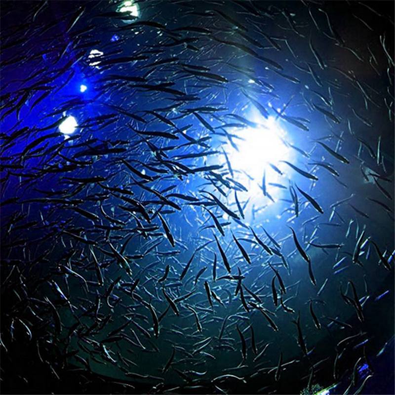 Mini Fishing Attraction Lamp G - Fishing Boat Navigation Light recension och pris