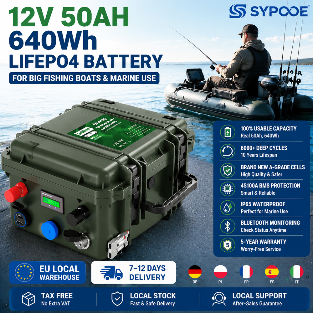 EU 12V 50AH LiFePO4 Battery 64 - Fishing Boat Trolling Motor recension och pris