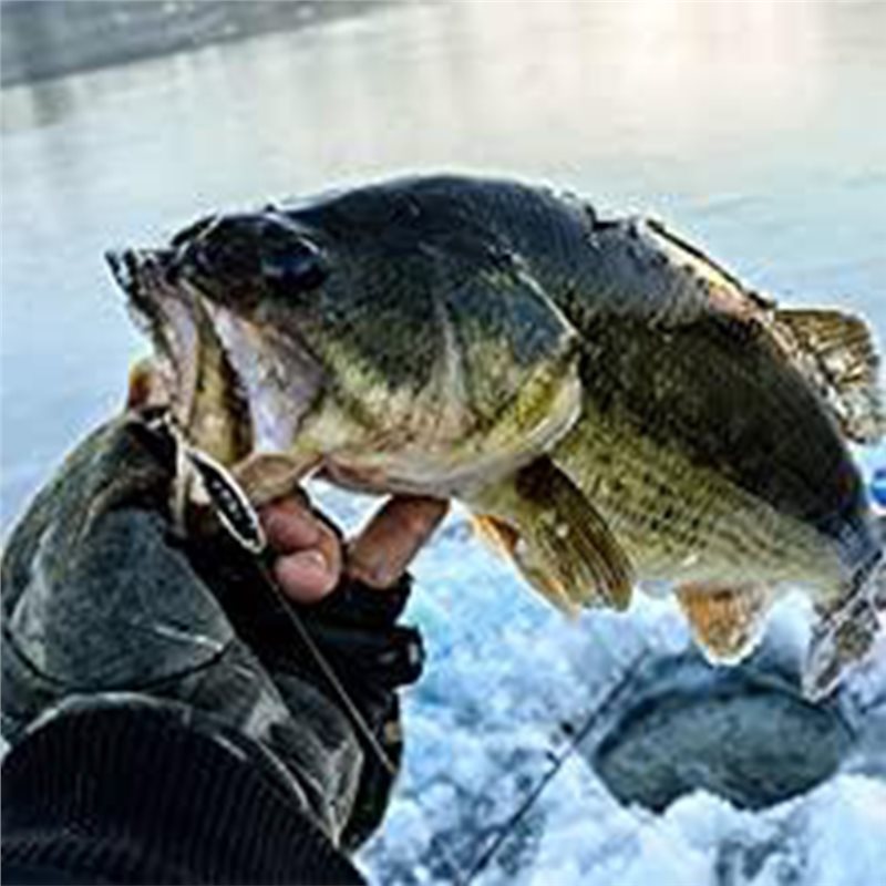 ABUE-Kayak Portable Fish Depth - Fishing Boat Depth Finder recension och pris